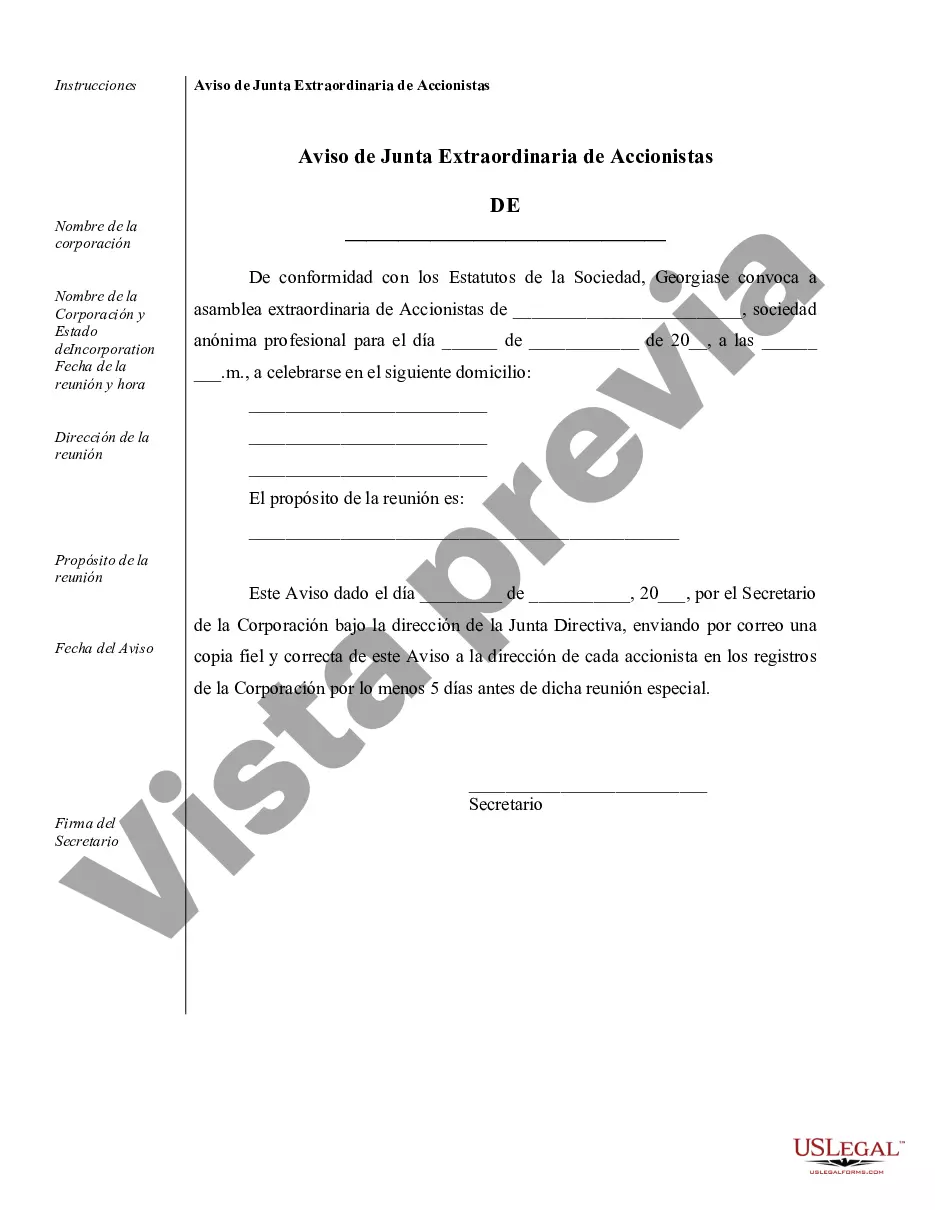 Preview Ejemplos de registros corporativos para una corporación profesional de Georgia