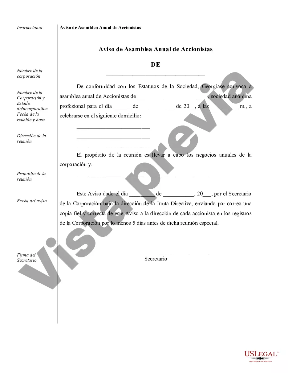 Preview Ejemplos de registros corporativos para una corporación profesional de Georgia