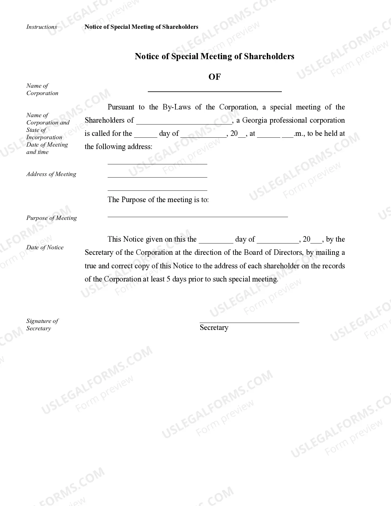 Preview Sample Corporate Records for a Georgia Professional Corporation