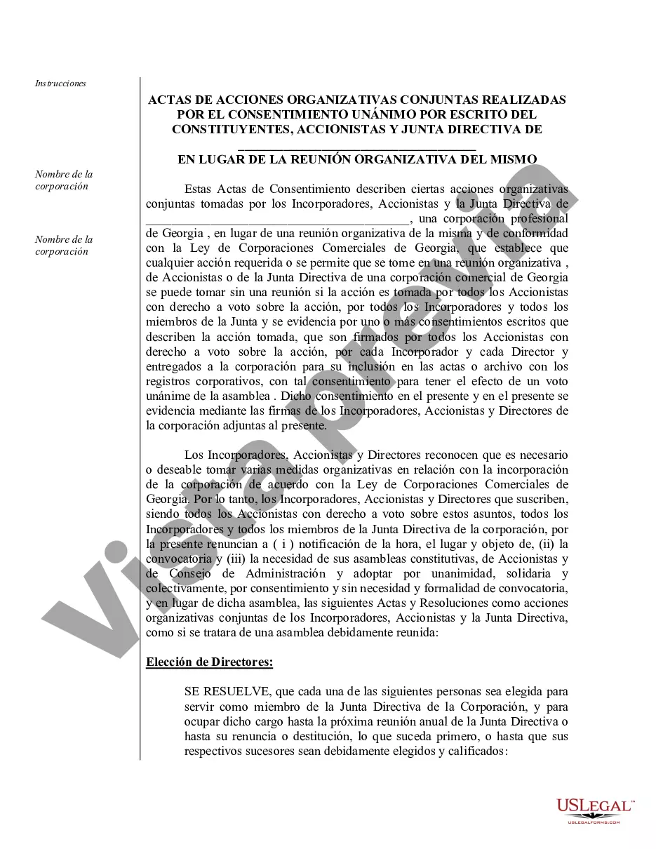 Preview Actas organizativas para una corporación profesional de Georgia