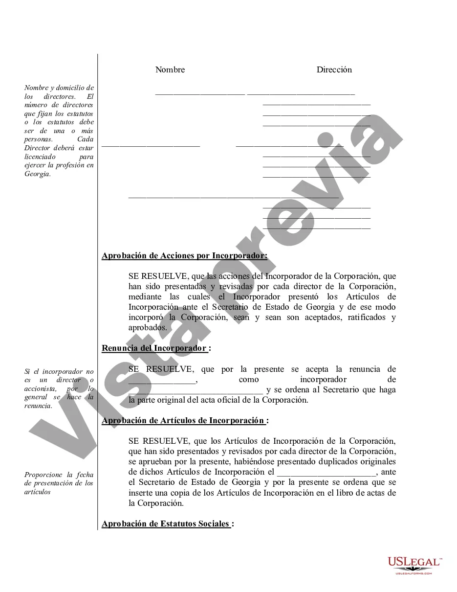 Preview Actas organizativas para una corporación profesional de Georgia