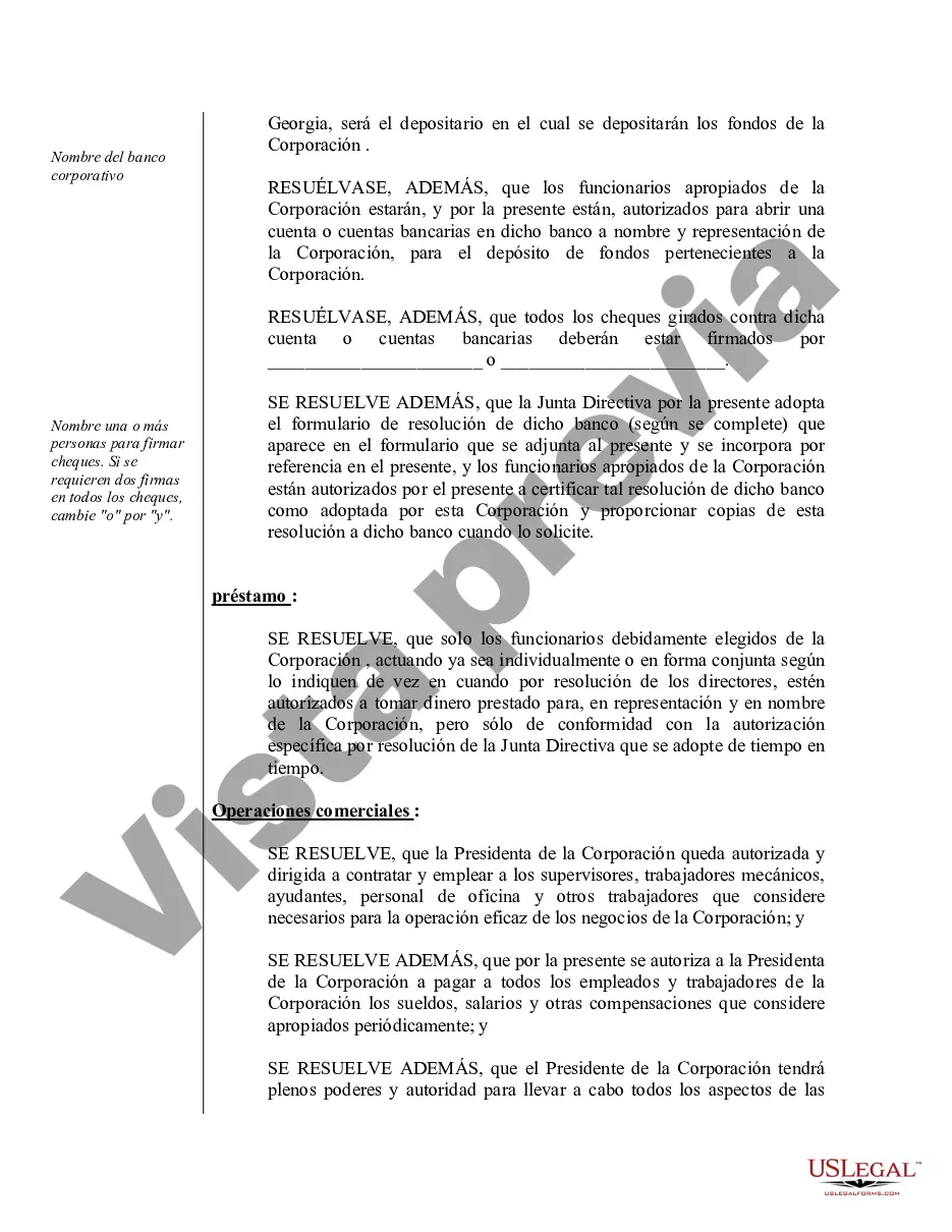 Preview Actas organizativas para una corporación profesional de Georgia