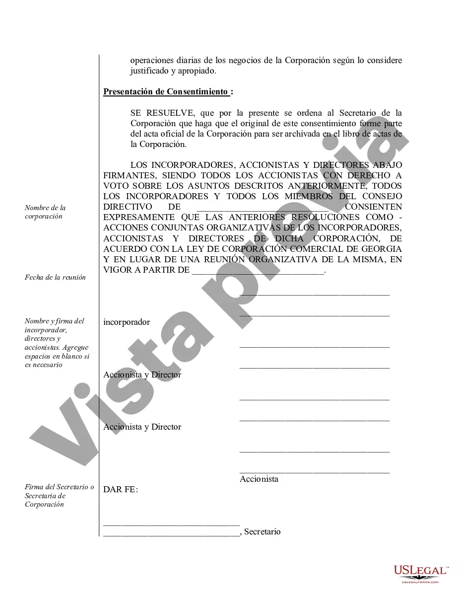 Preview Actas organizativas para una corporación profesional de Georgia