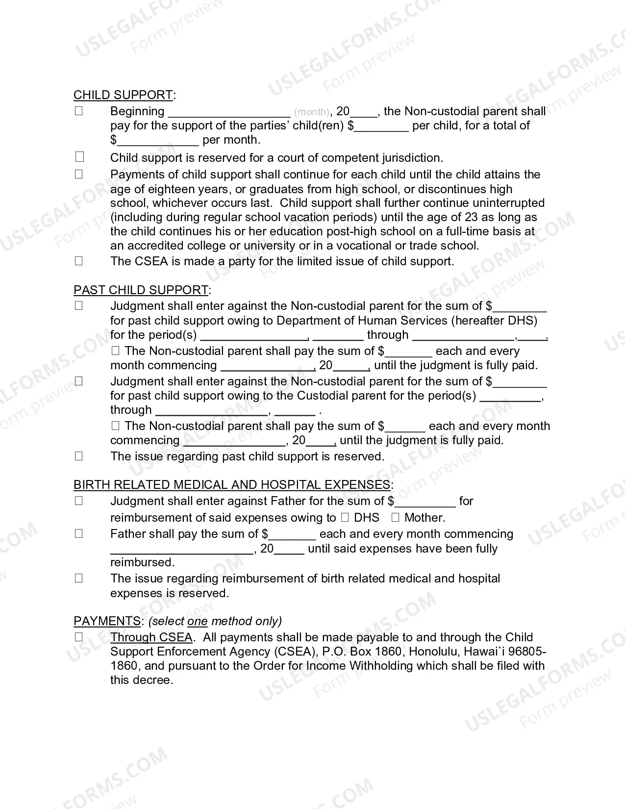 Preview Order for Custody, Visitation, Support after Voluntary Establishment of Paternity - Second Circuit