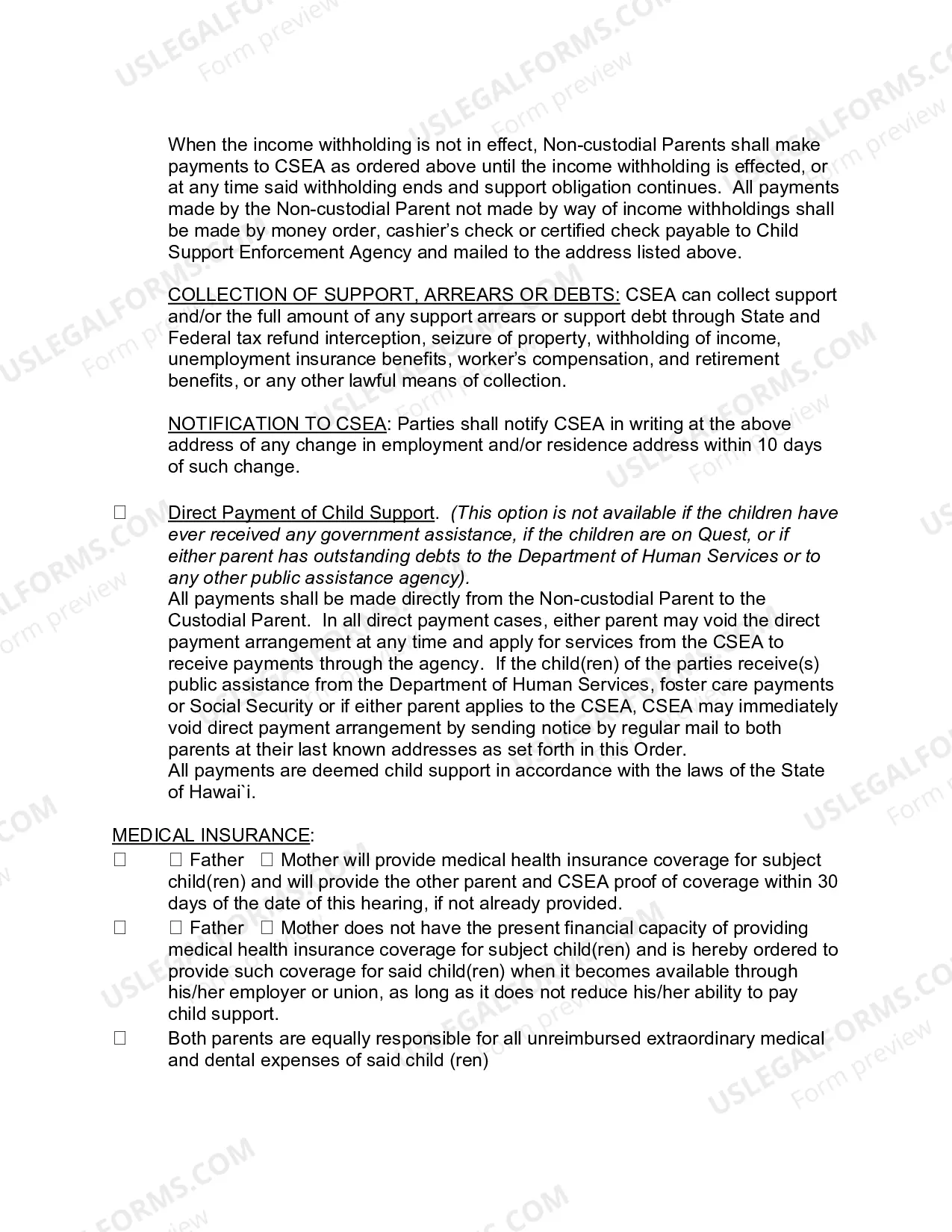 Preview Order for Custody, Visitation, Support after Voluntary Establishment of Paternity - Second Circuit