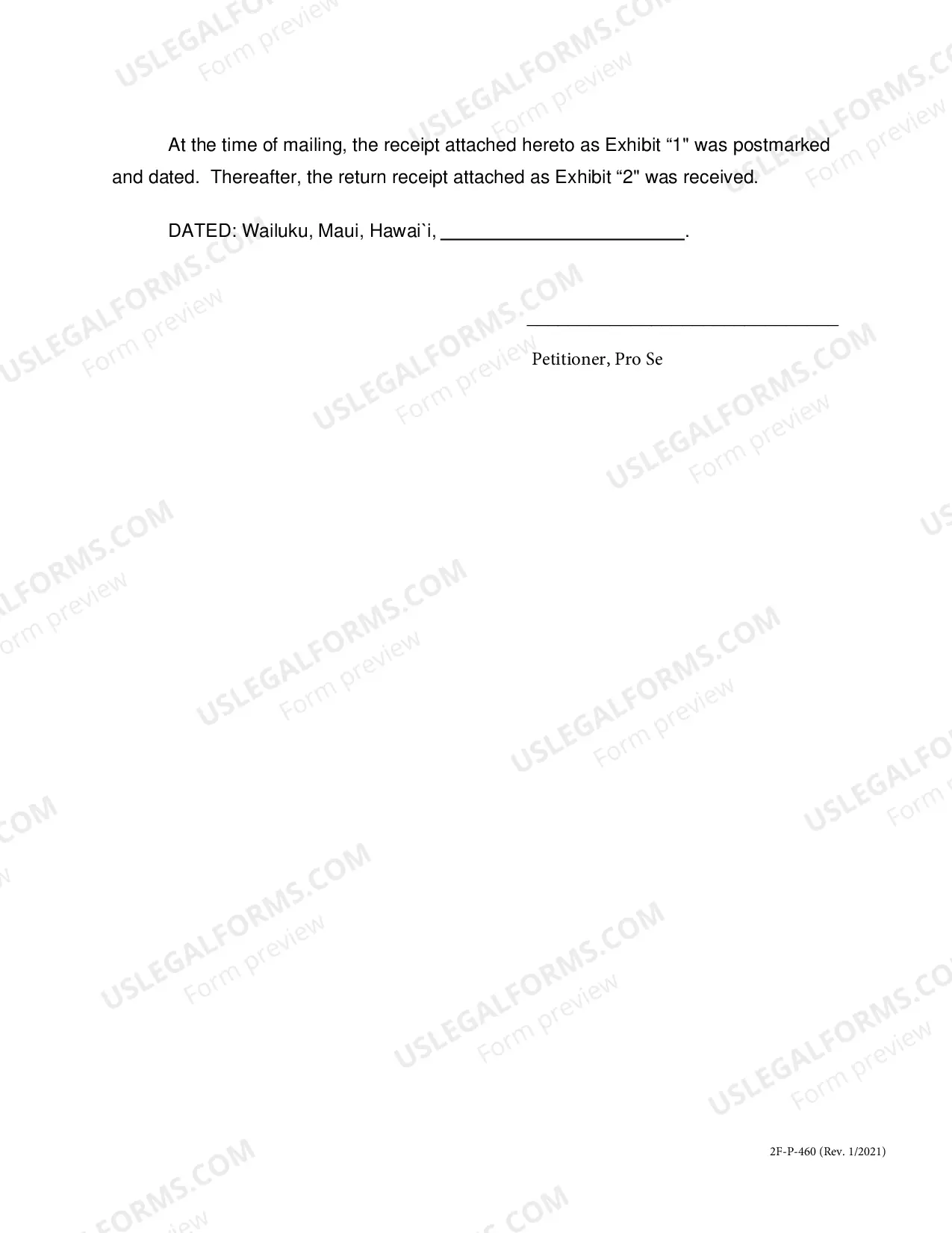 Preview Statement of Mailing - Voluntary Establishment of Paternity Petition - Second Circuit
