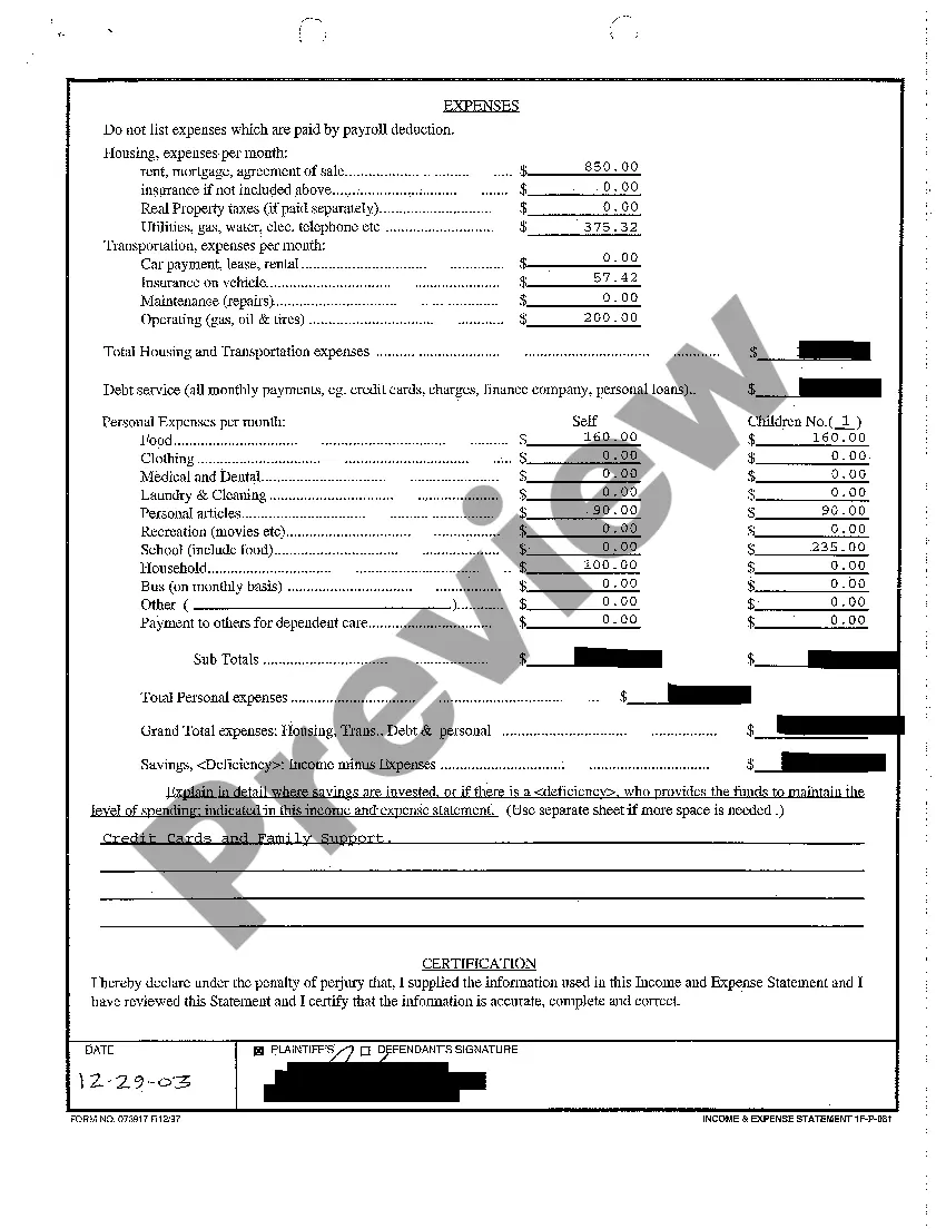 Preview A03 Income and Expense Statement for Plaintiff