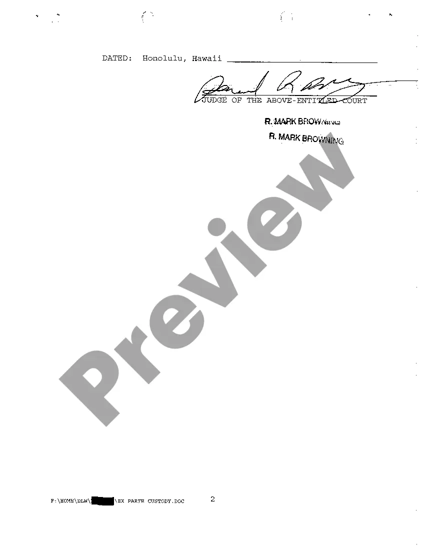 Preview A19 Order Granting Ex Parte Motion for Immediate Temporary Sole Legal and Physical Custody of Parties' Minor Child