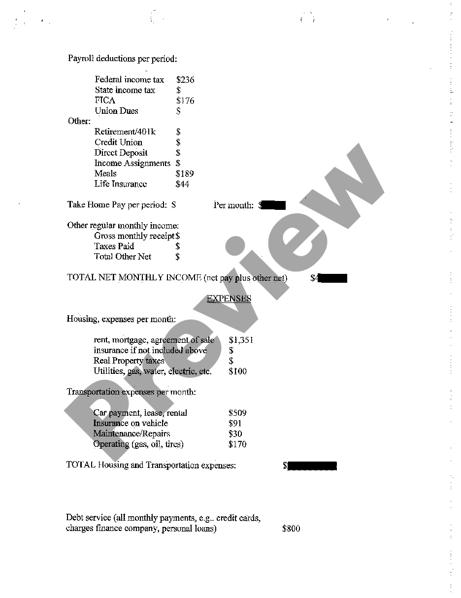 page 1 A04 Income and Expense Statement of Both Parties preview