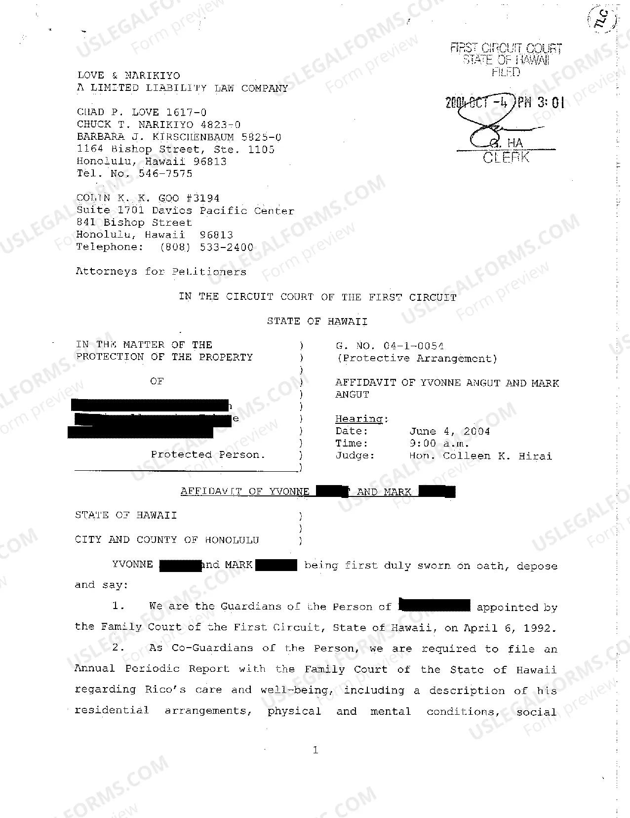 Preview A13 Letters of Special Guardianship - Property