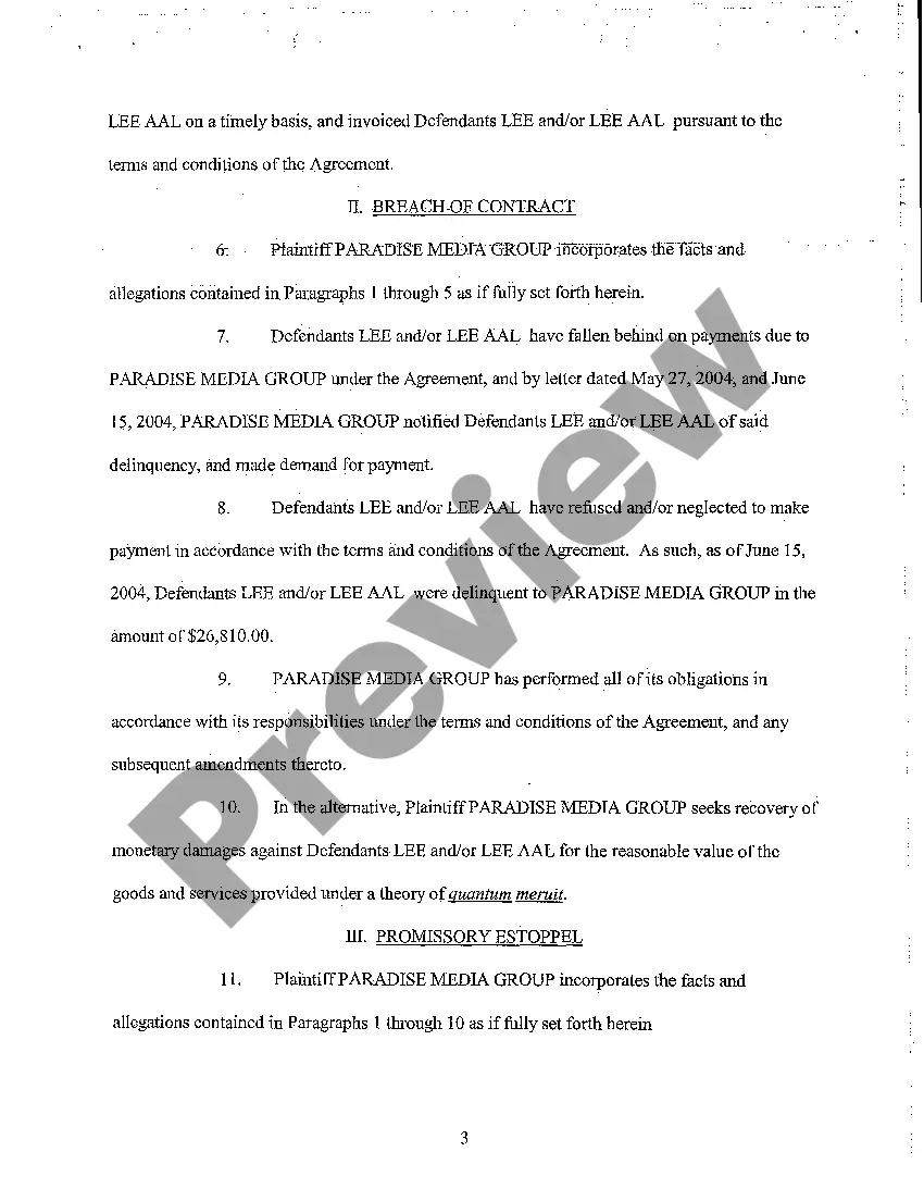 Preview A11 First Amended Complaint