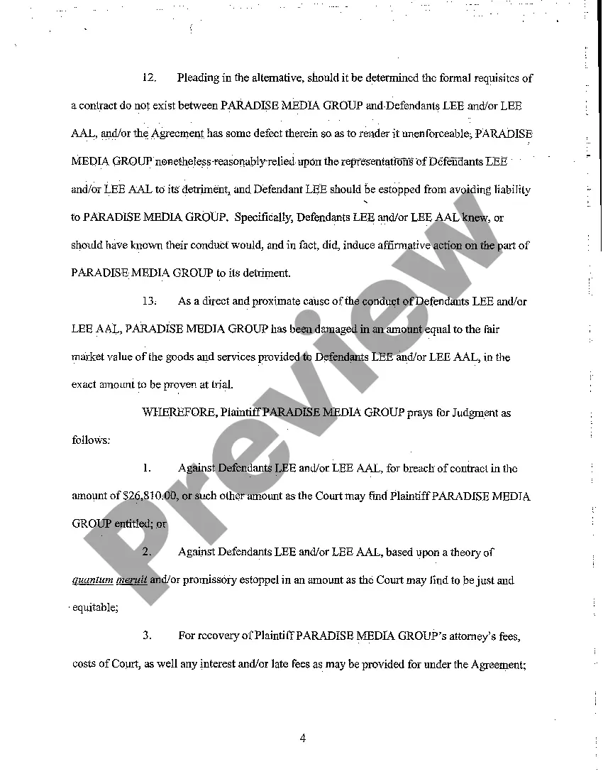 Preview A11 First Amended Complaint
