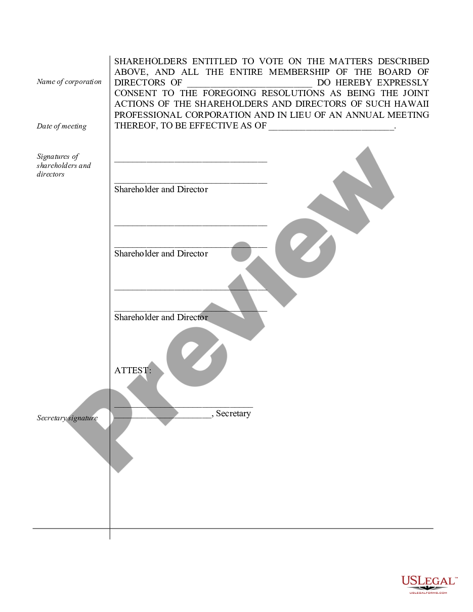 page 3 Sample Annual Minutes for a Hawaii Professional Corporation preview
