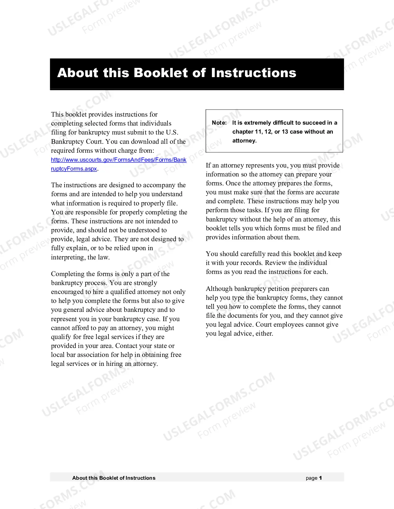 Preview Instructions - Bankruptcy Forms for Individuals