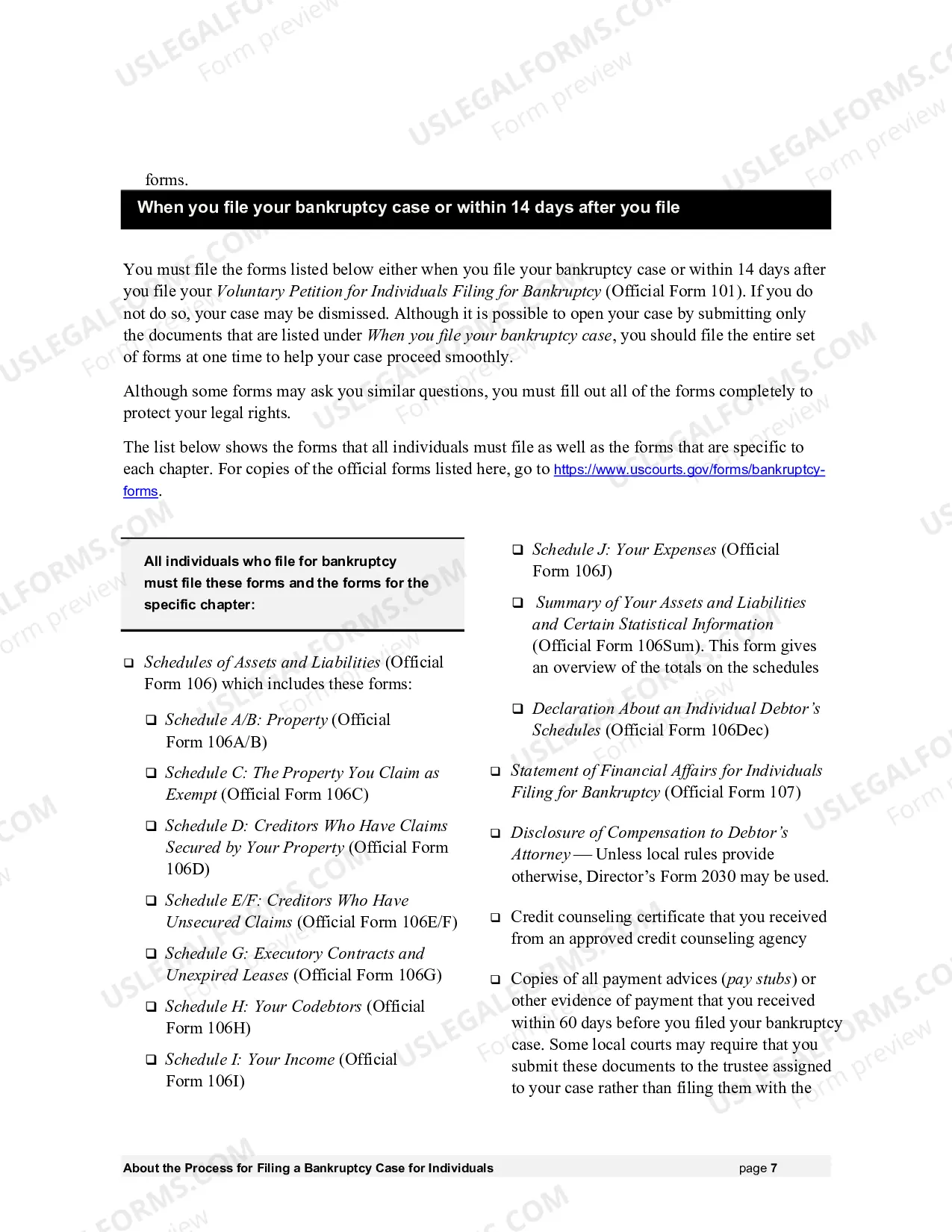 Preview Instructions - Bankruptcy Forms for Individuals