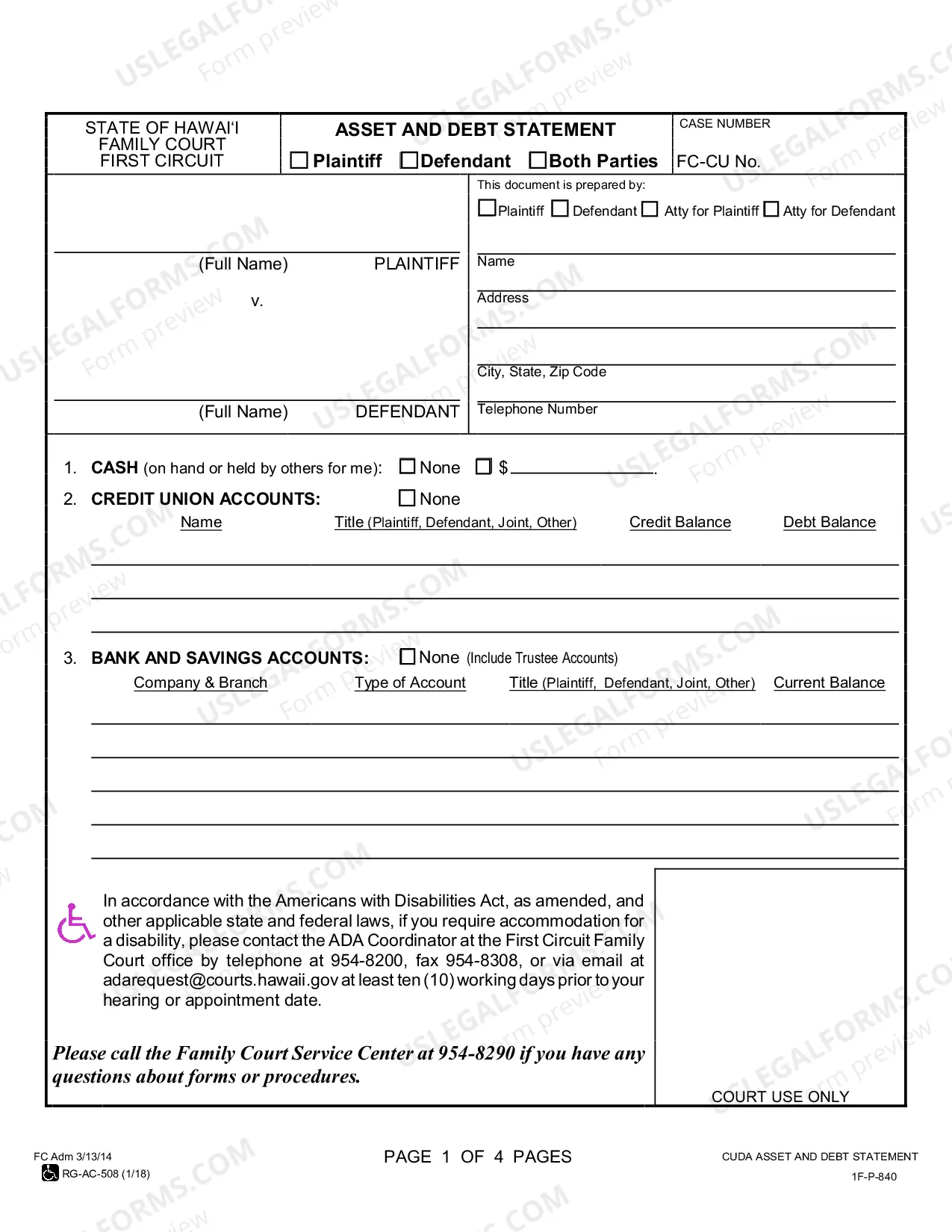 Preview Asset and Debt Statement