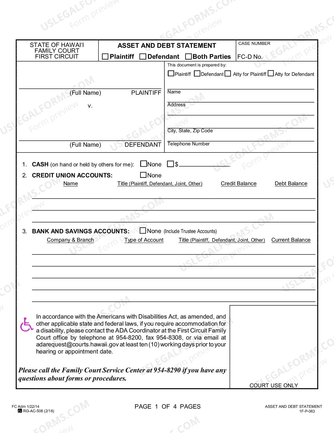 Preview Asset and Debt Statement (Form Only)