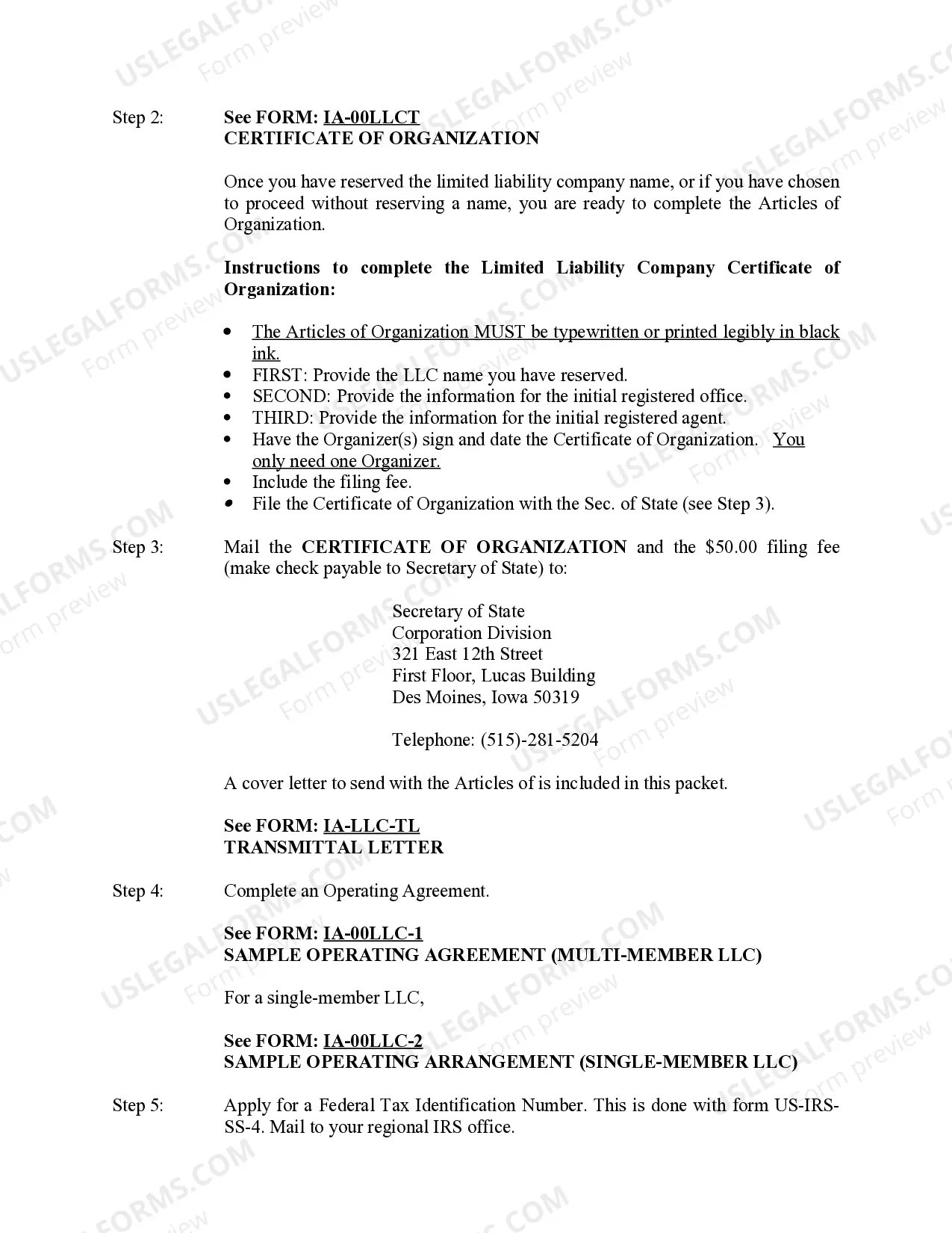 Preview Iowa Limited Liability Company LLC Formation Package
