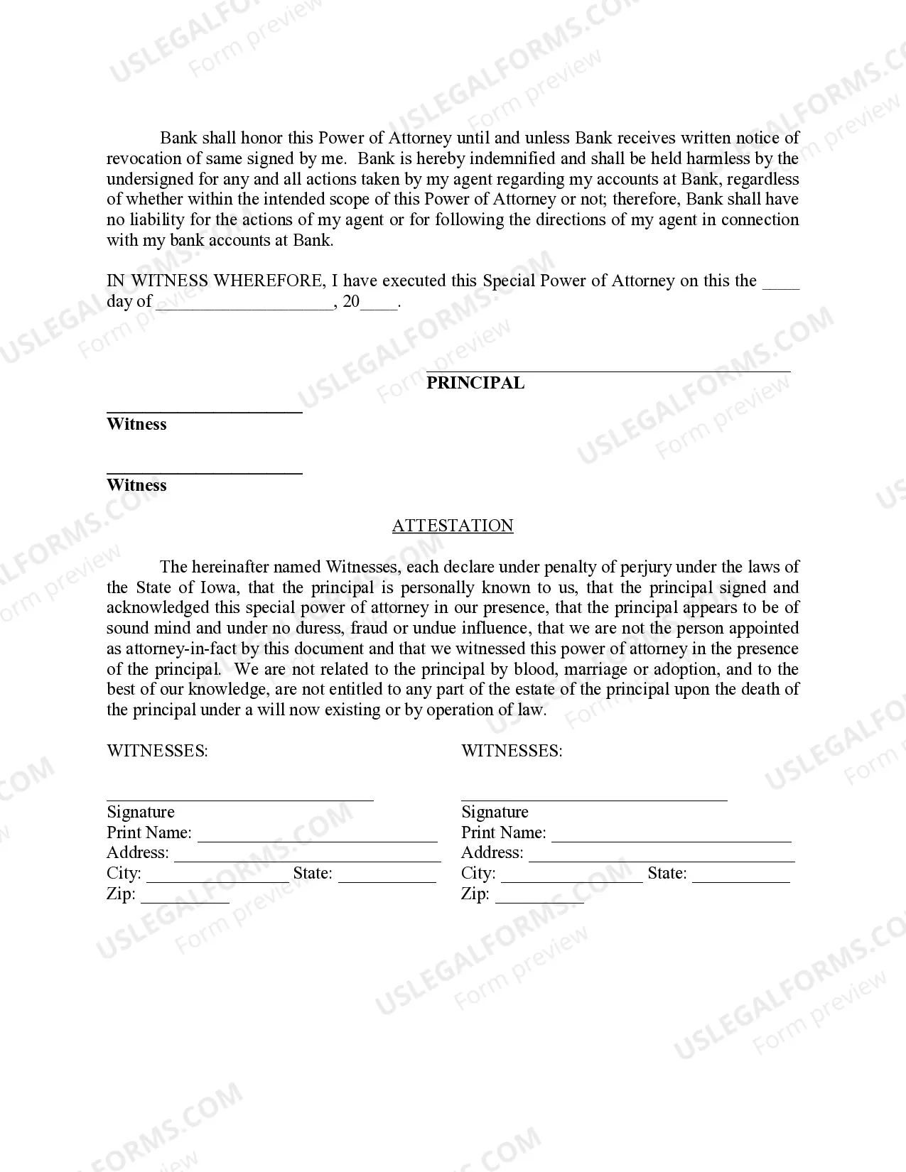 Preview Special Durable Power of Attorney for Bank Account Matters