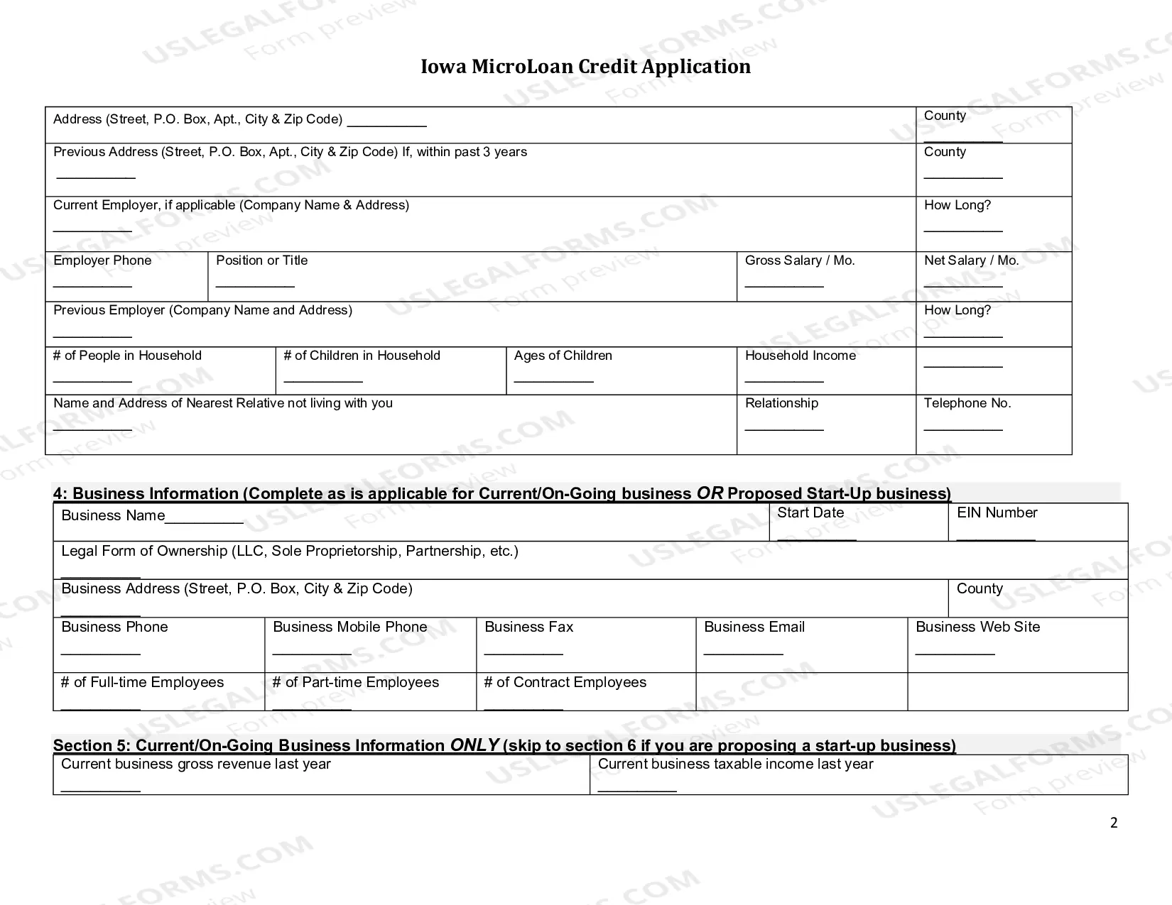 Preview Iowa Microloan Credit Application