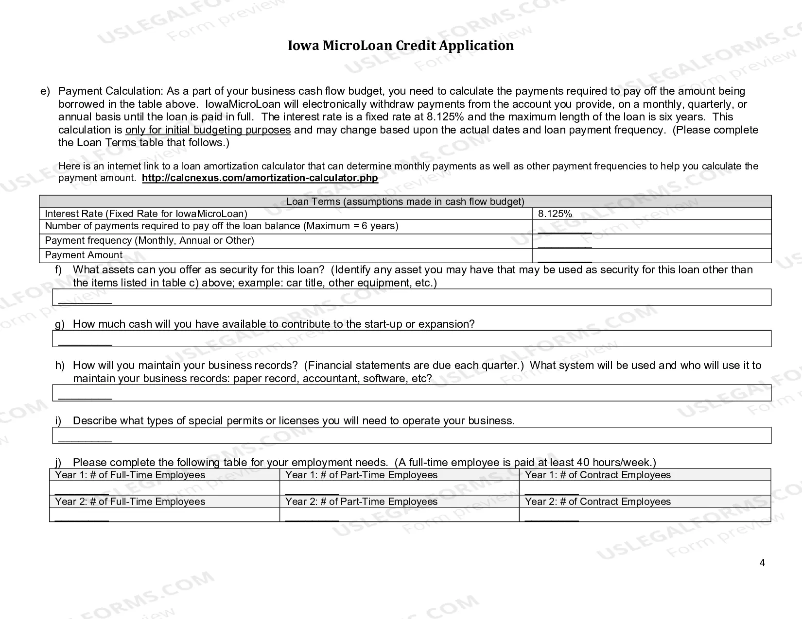 Preview Iowa Microloan Credit Application