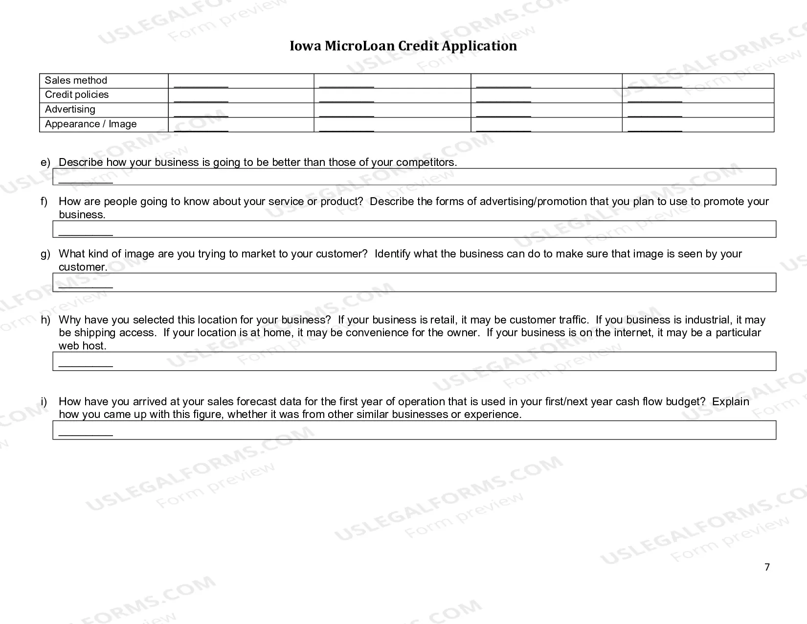 Preview Iowa Microloan Credit Application