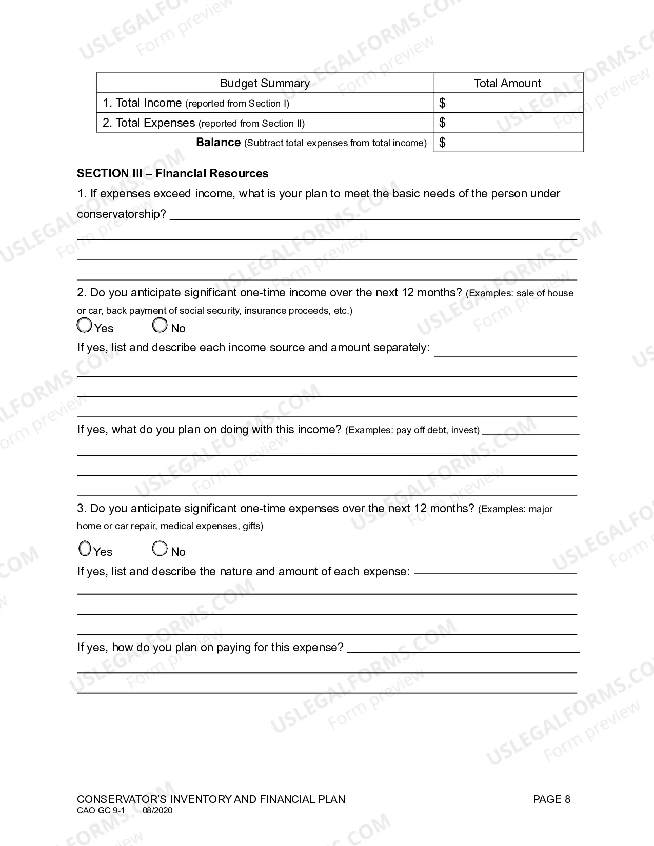 Preview Conservator's Inventory and Financial Plan