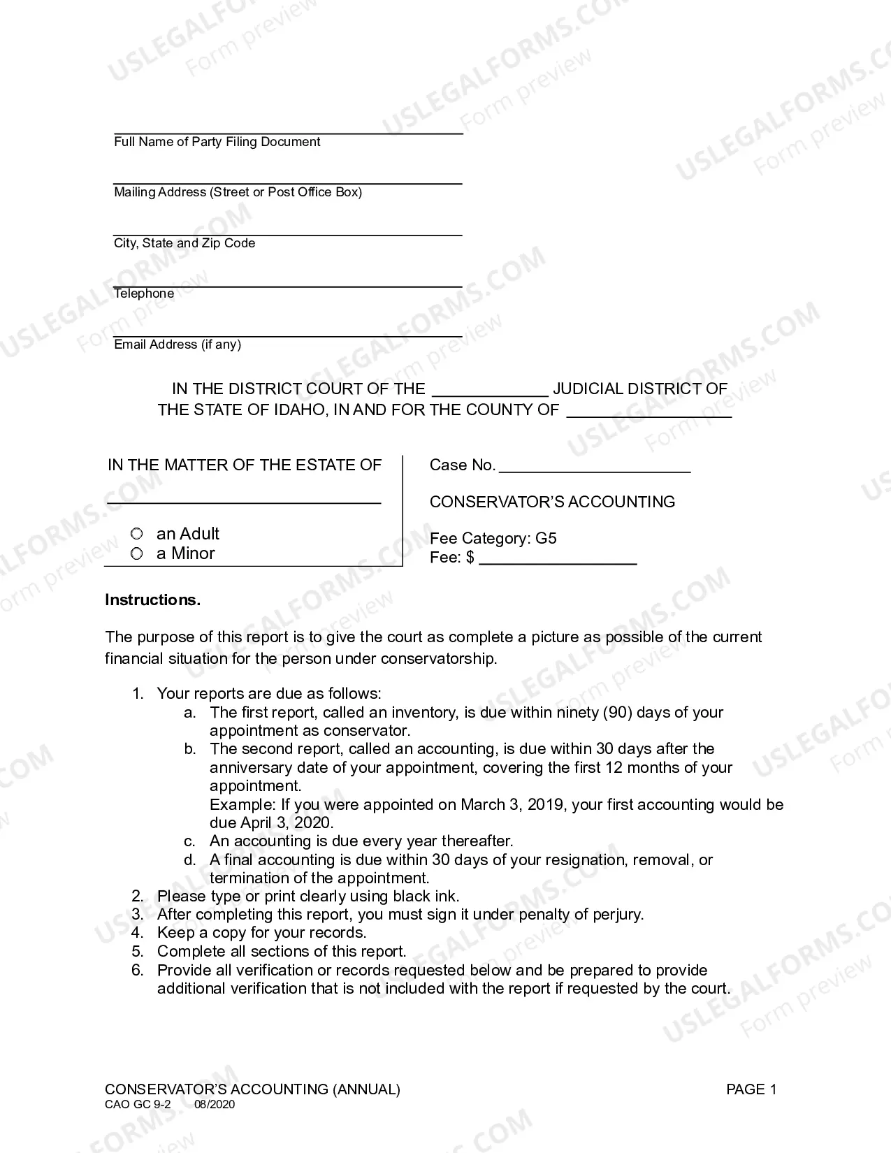 Preview Conservator's Accounting