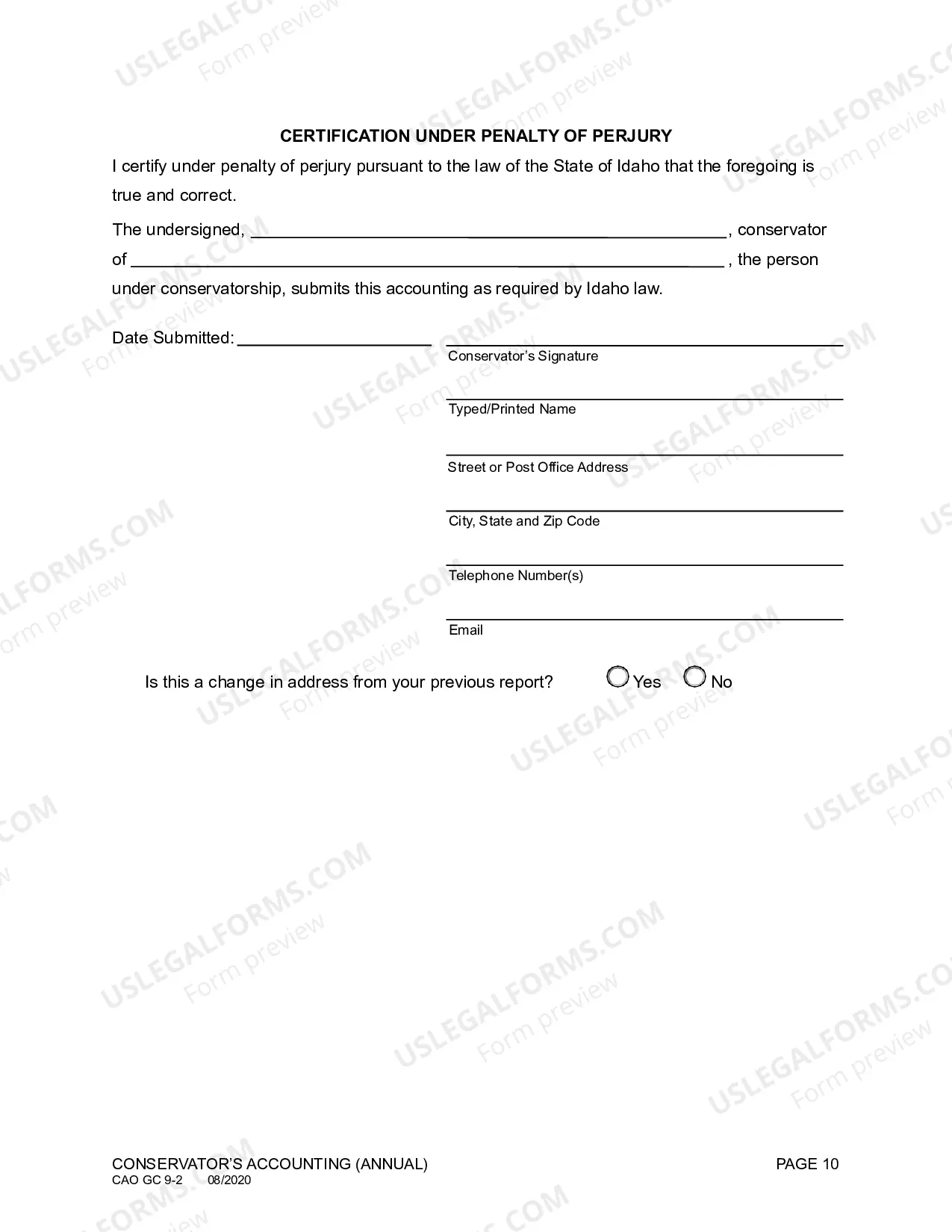 Preview Conservator's Accounting