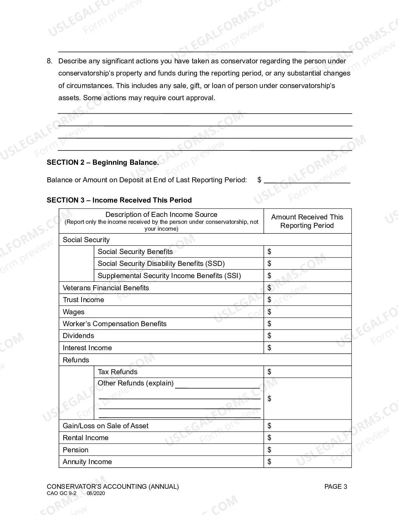 Preview Conservator's Accounting