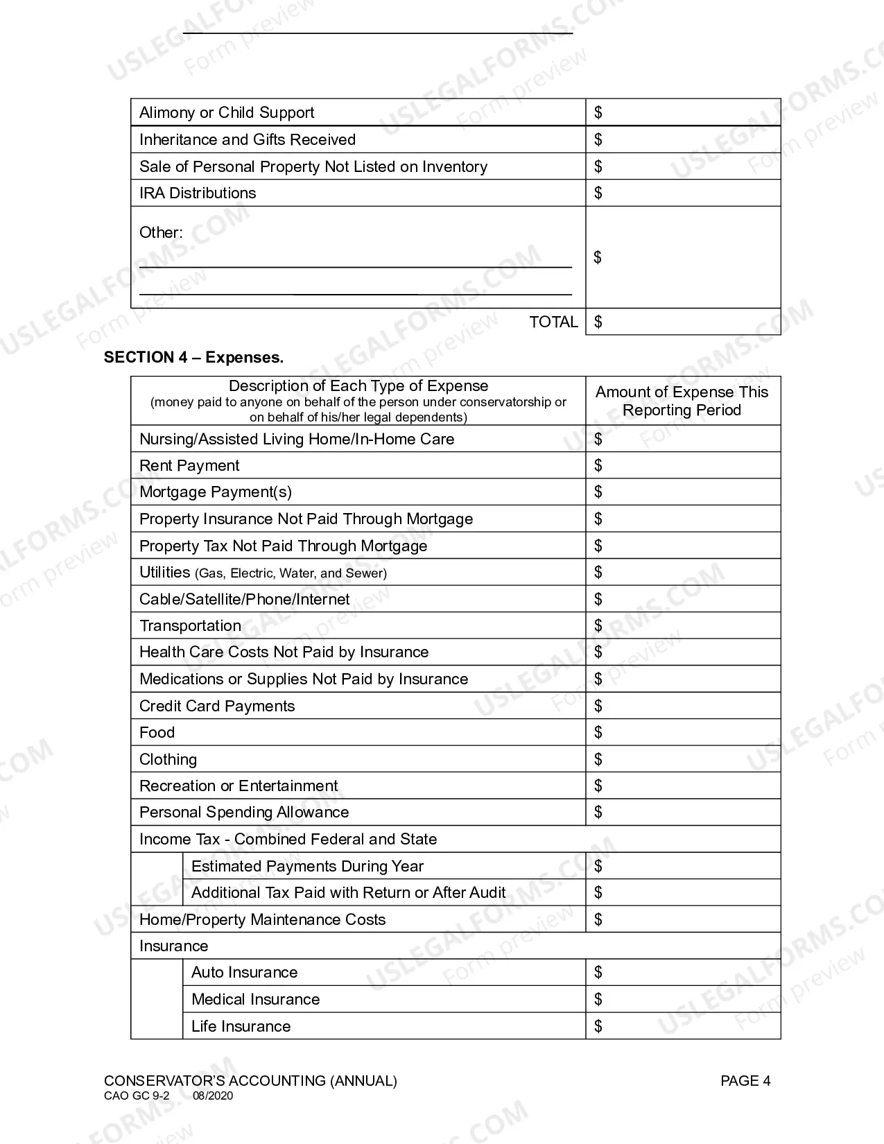 Preview Conservator's Accounting