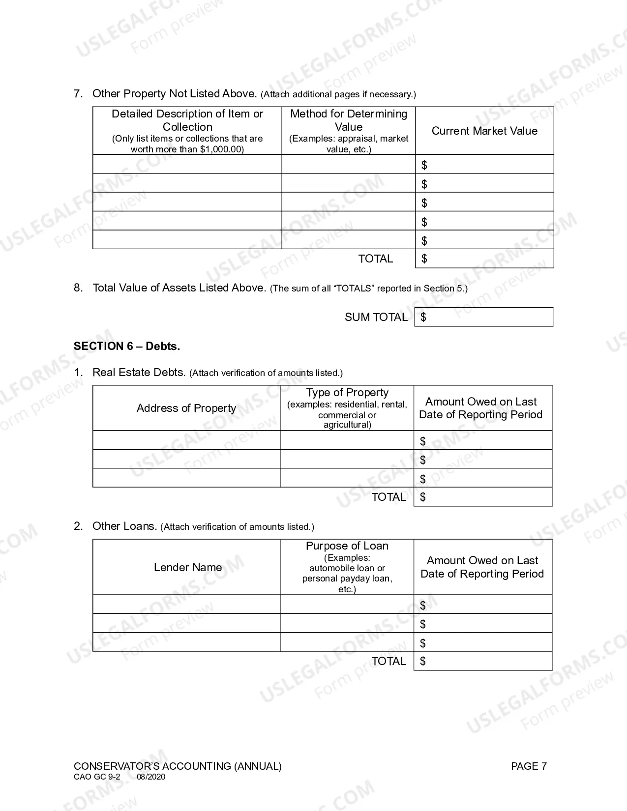 Preview Conservator's Accounting