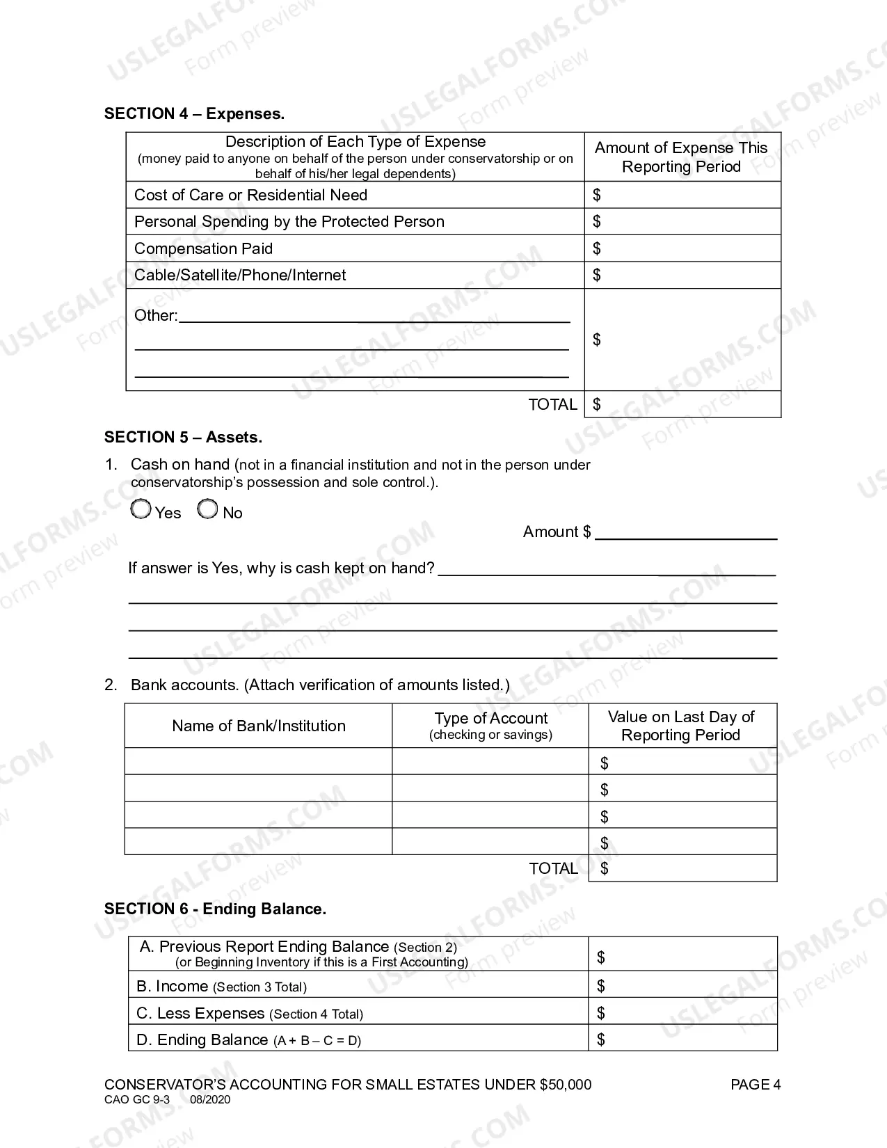 Preview Conservator's Accounting for Small Estates Under $50,000