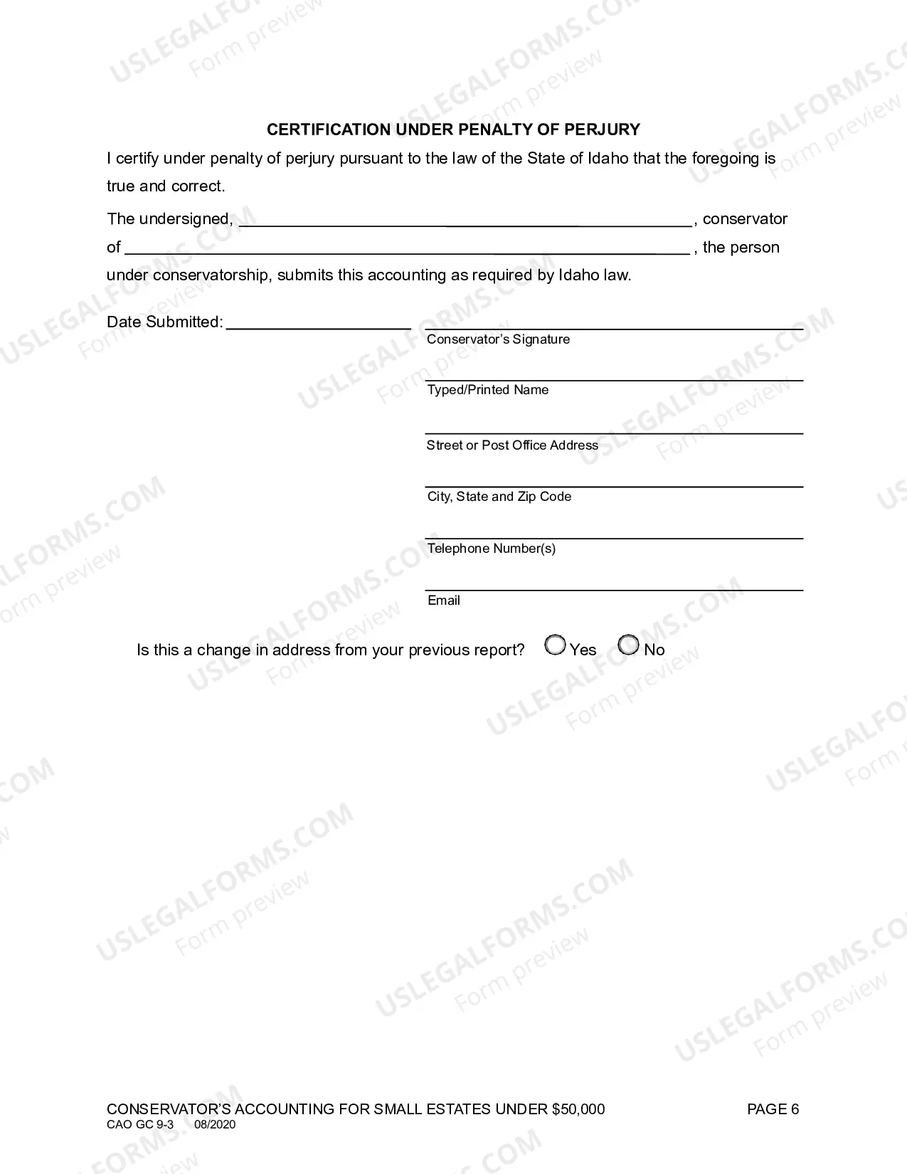 Preview Conservator's Accounting for Small Estates Under $50,000