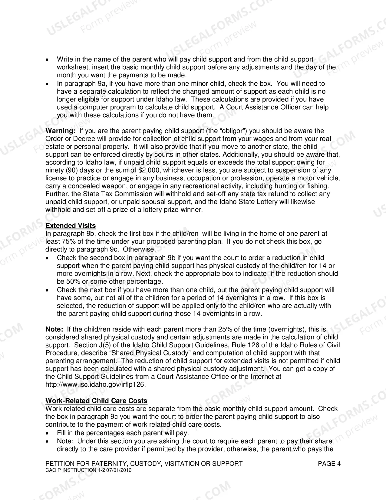 Preview Intructions for Completing a Petition for Paternity, Custody, Visitation and Support