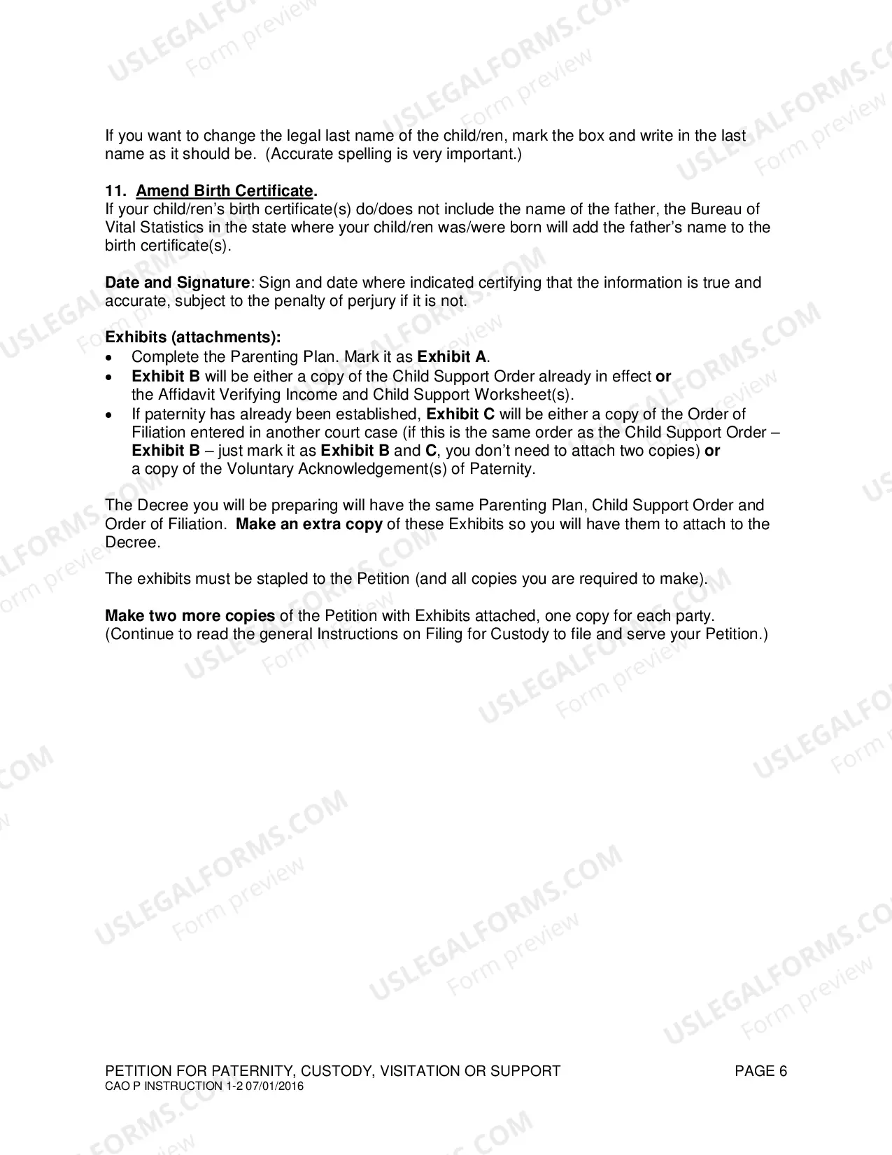 Preview Intructions for Completing a Petition for Paternity, Custody, Visitation and Support