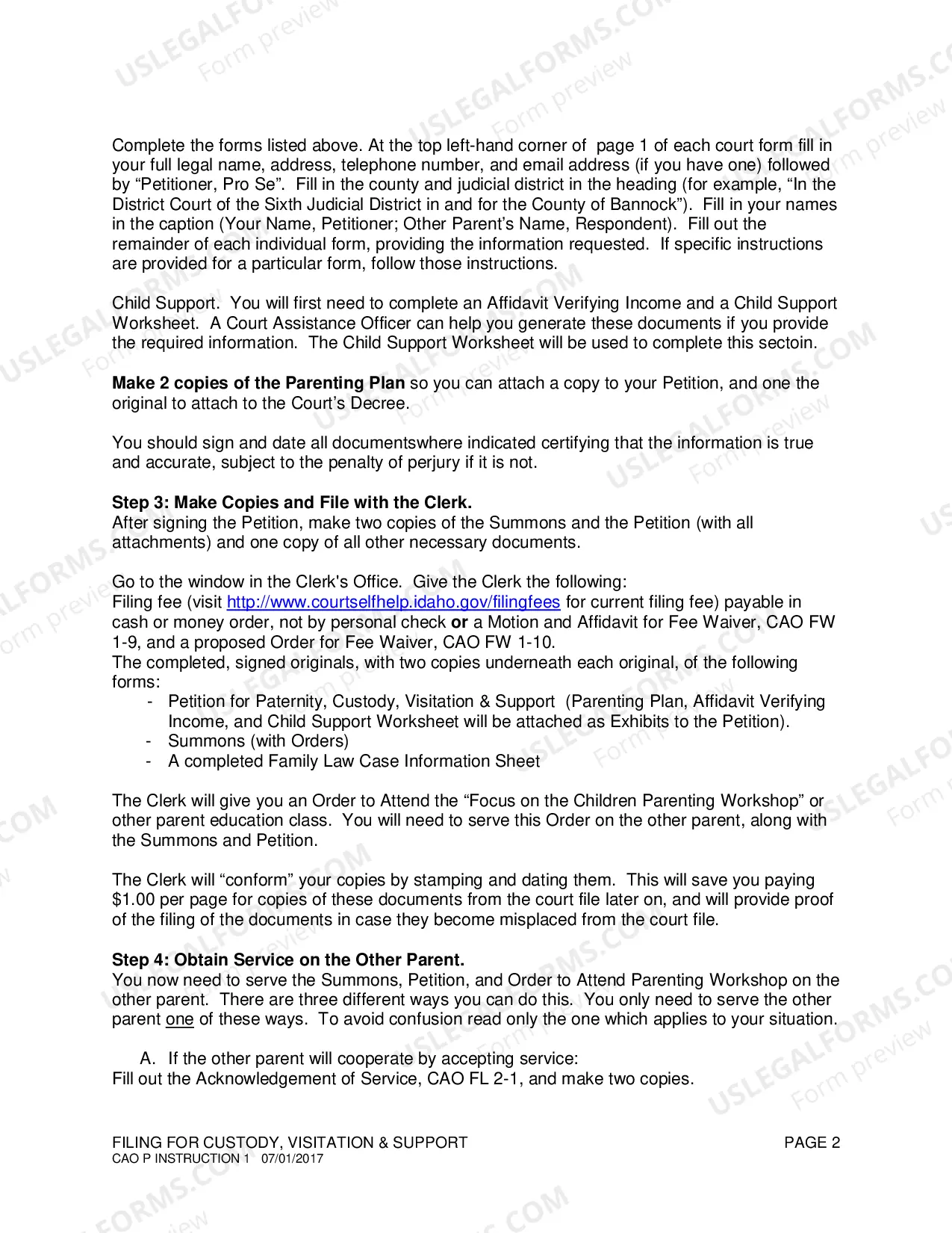 Preview Instructions for Filing for Paternity, Custody, Visitation and Support