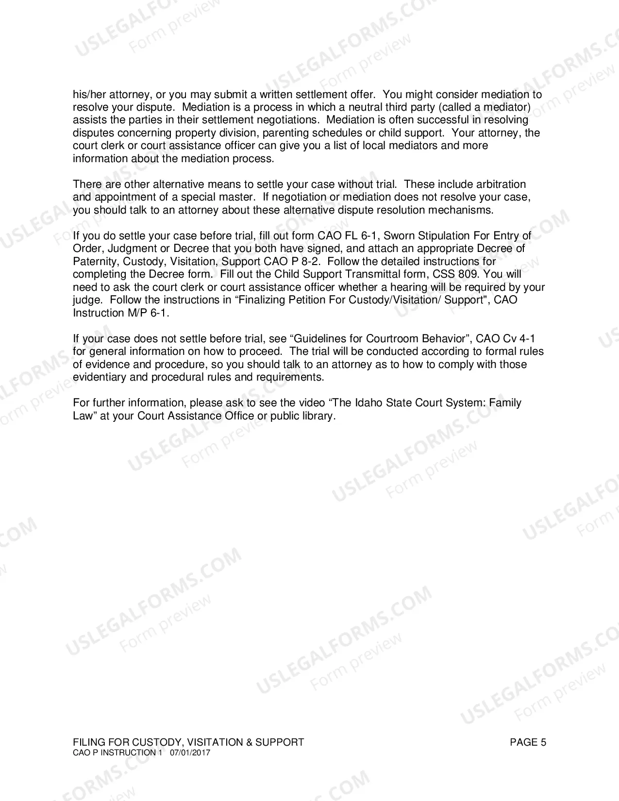 Preview Instructions for Filing for Paternity, Custody, Visitation and Support