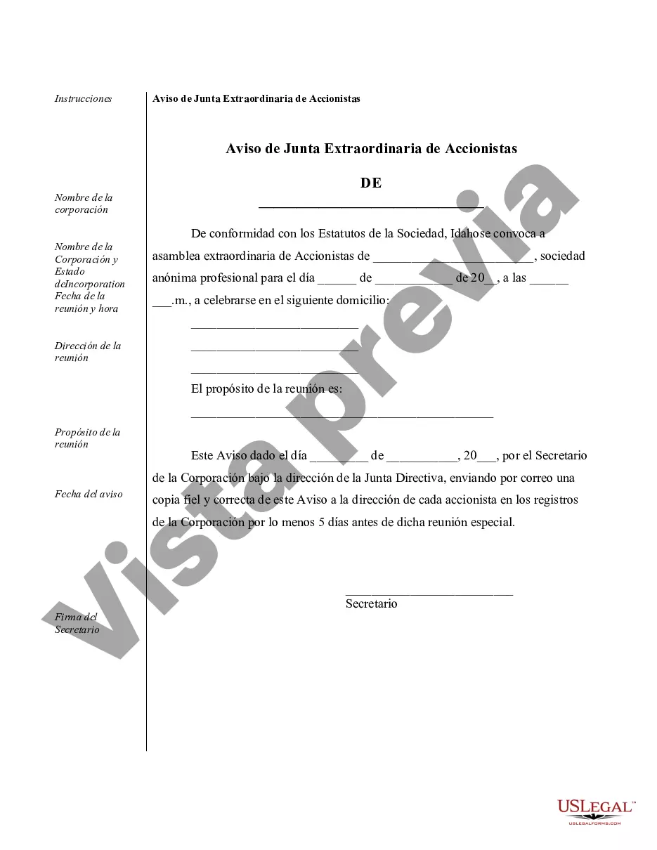 Preview Muestra de registros corporativos para una corporación profesional de Idaho