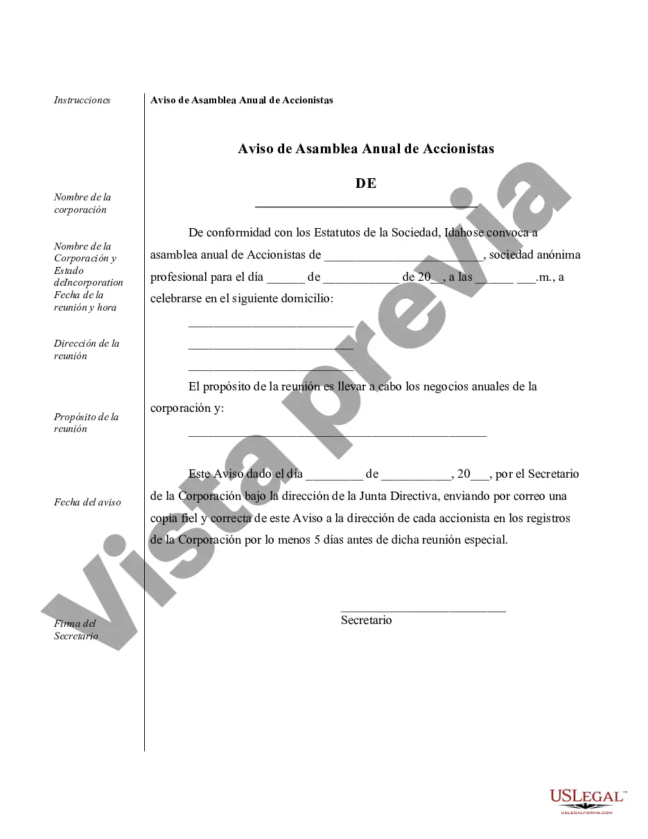 Preview Muestra de registros corporativos para una corporación profesional de Idaho