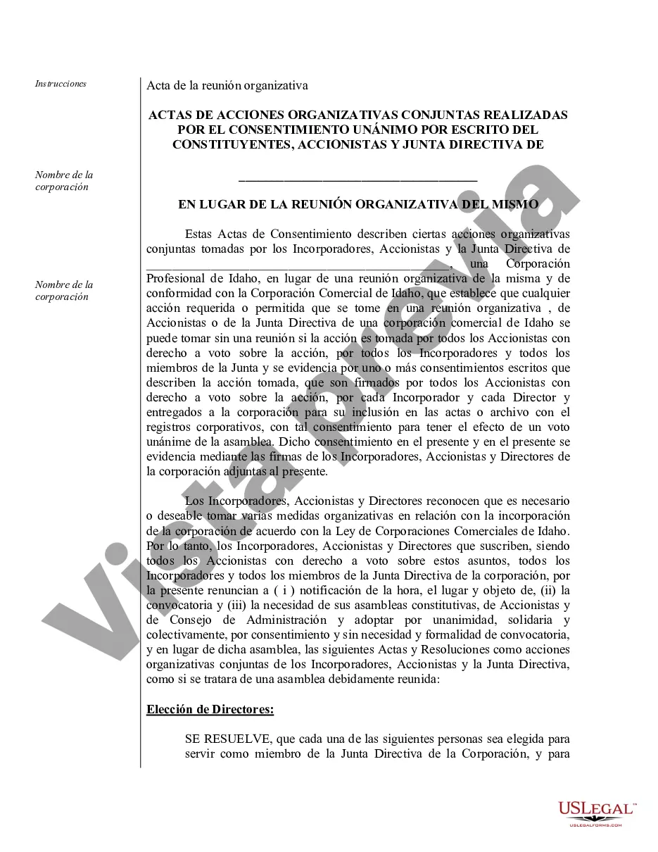 Preview Actas organizativas para una corporación profesional de Idaho