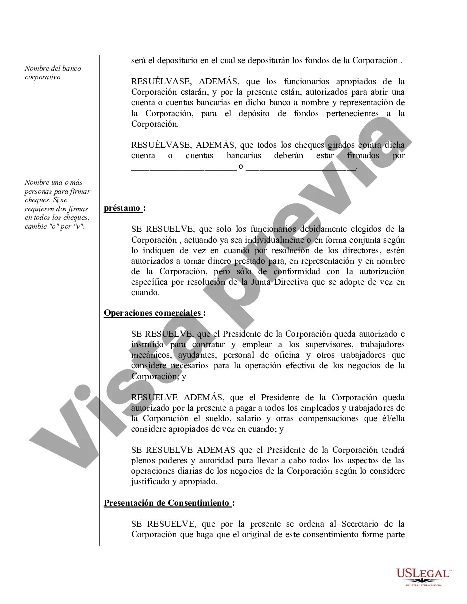 Preview Actas organizativas para una corporación profesional de Idaho