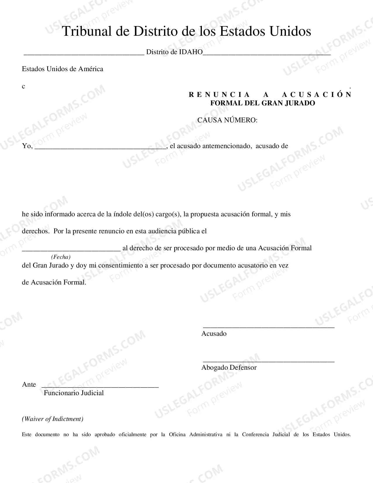 Preview Waiver of Indictment