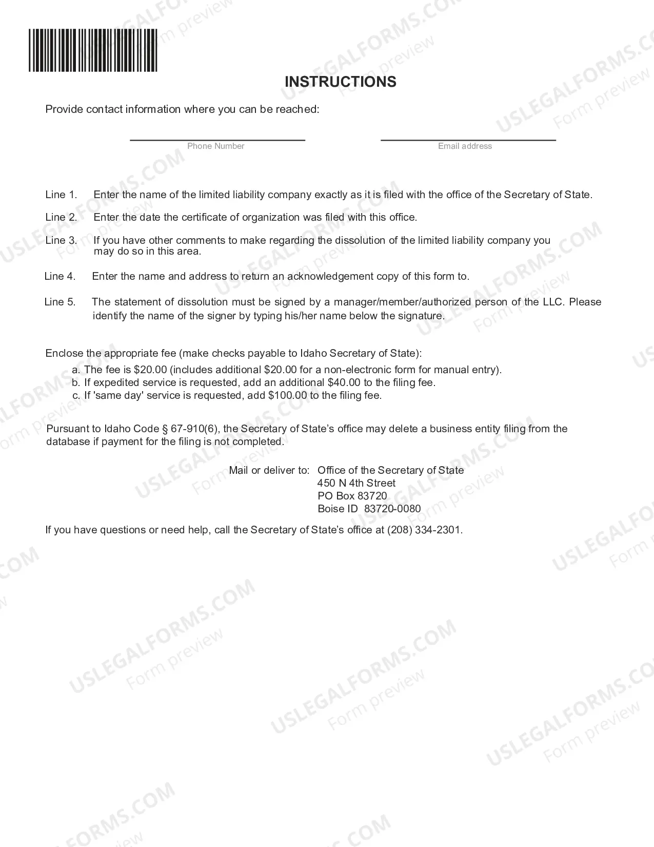 Preview Statement of Dissolution