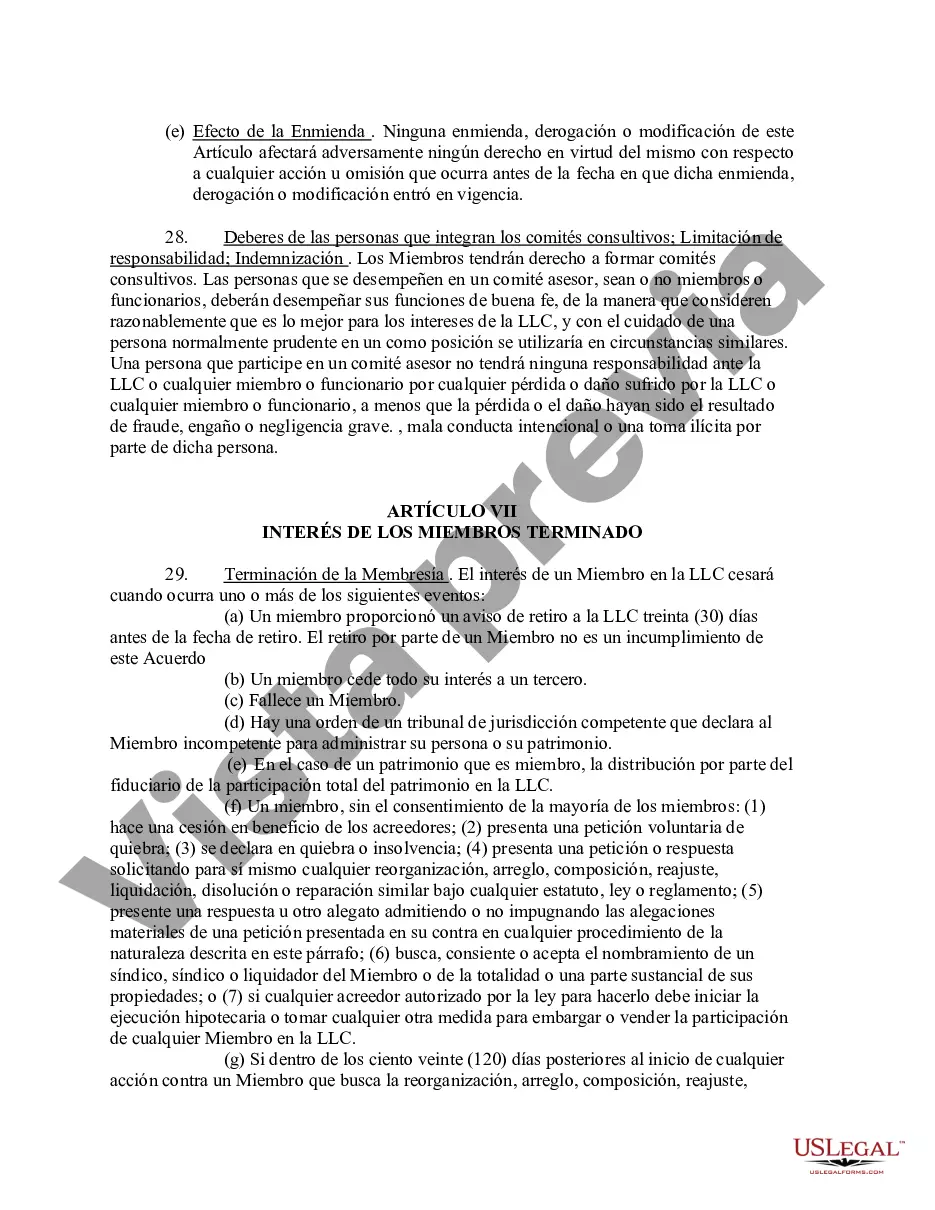 Preview Acuerdo Operativo de Sociedad de Responsabilidad Limitada LLC