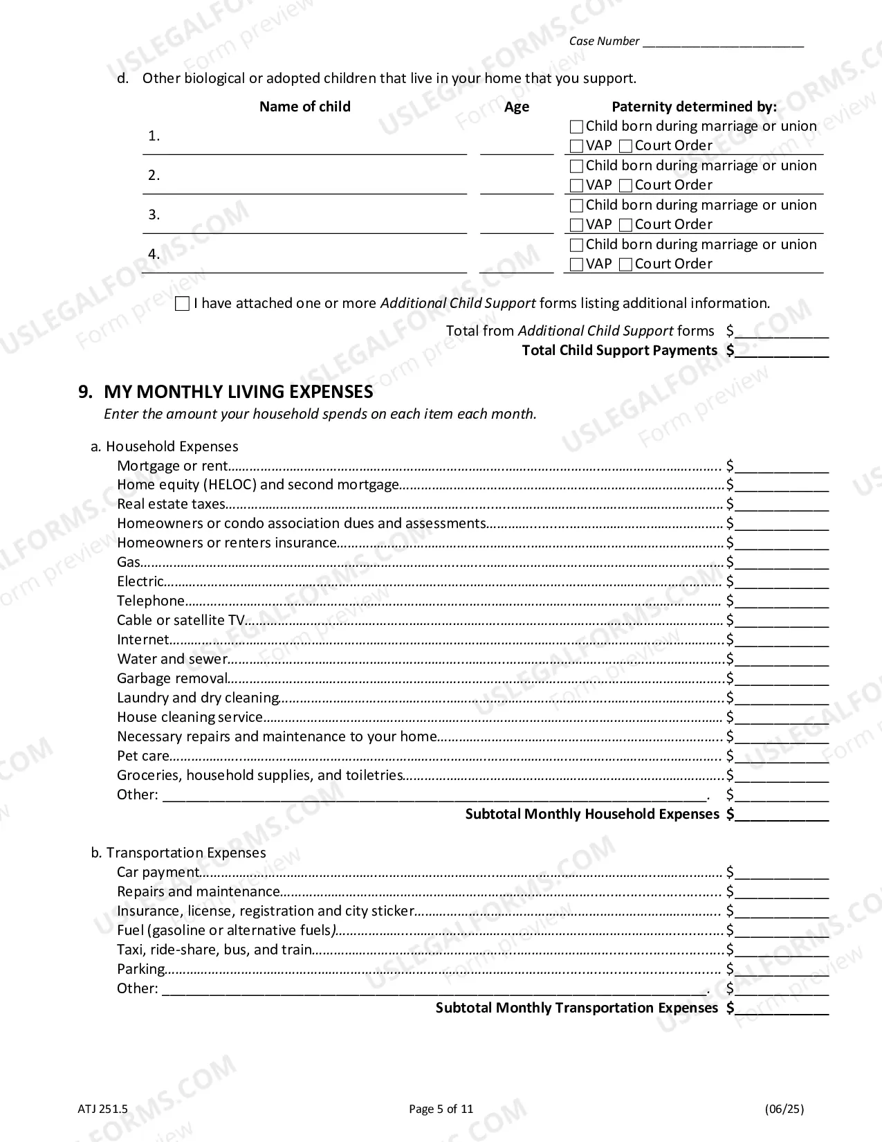 Preview Financial Affidavit - Family and Divorce