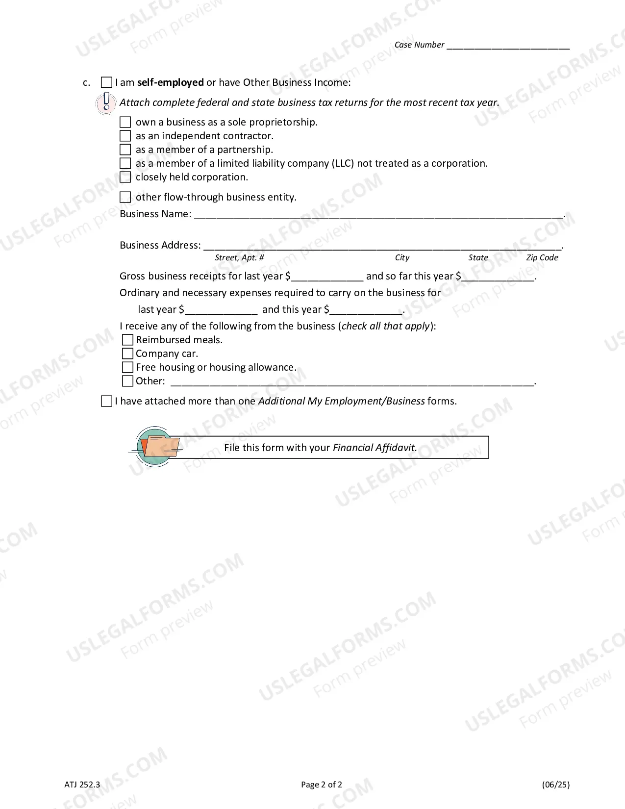 Preview Additional My Employment and/or Business - Financial Affidavit