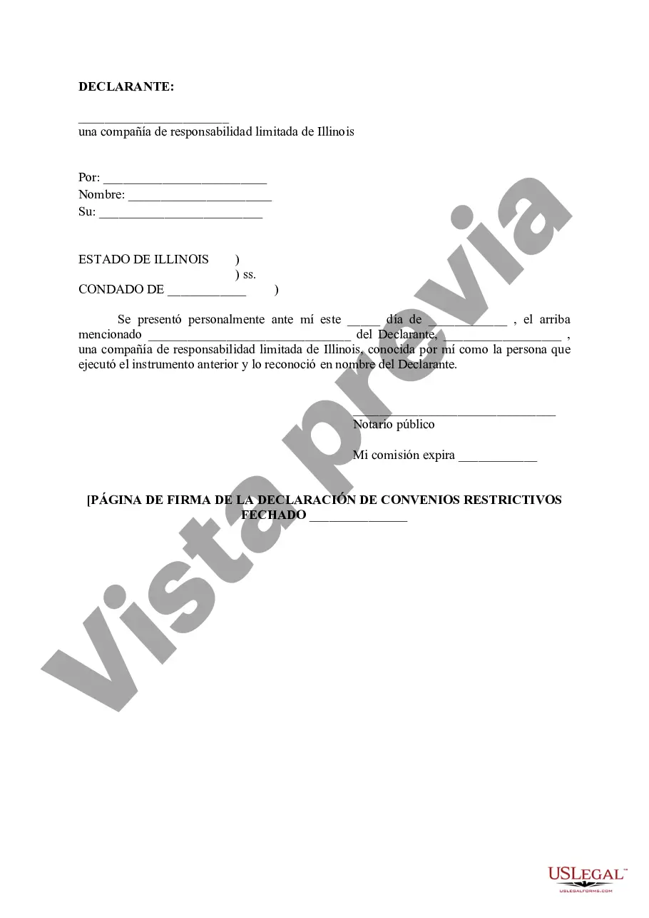 Preview Declaración de Pactos Restrictivos