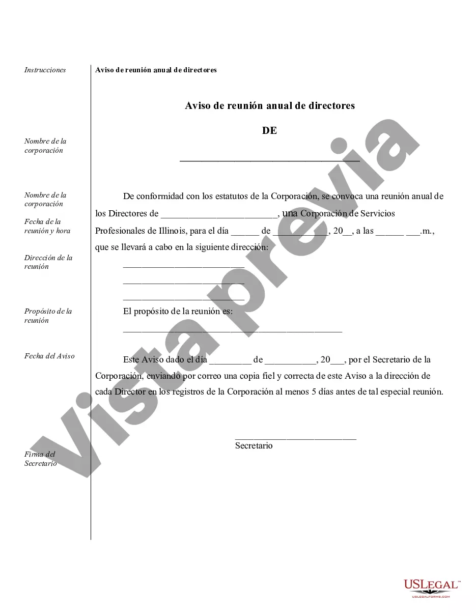 Preview Minutos anuales para una corporación profesional de Illinois
