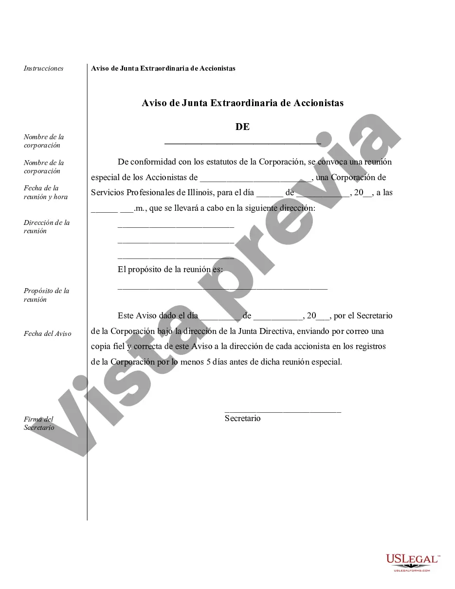 Preview Minutos anuales para una corporación profesional de Illinois